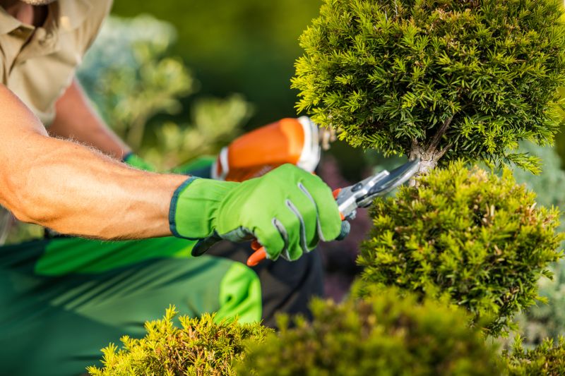 Bush Trimming