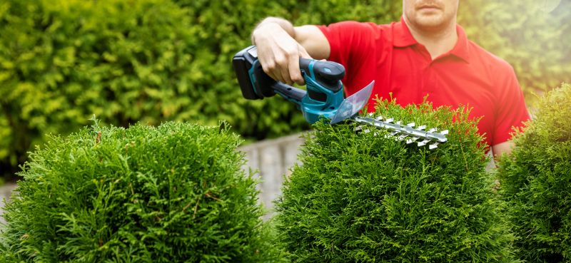 Cost of Bush Trimming — Cost of Bush Trimming