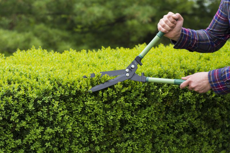 Cost of Bush Trimming — Cost of Bush Trimming
