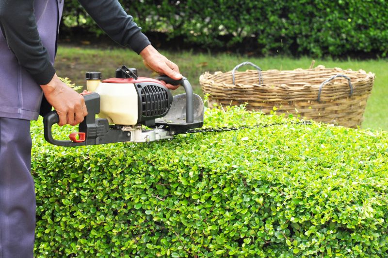 Cost of Bush Trimming — Cost of Bush Trimming