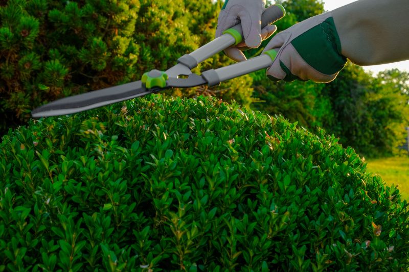 Cost of Bush Trimming — Cost of Bush Trimming