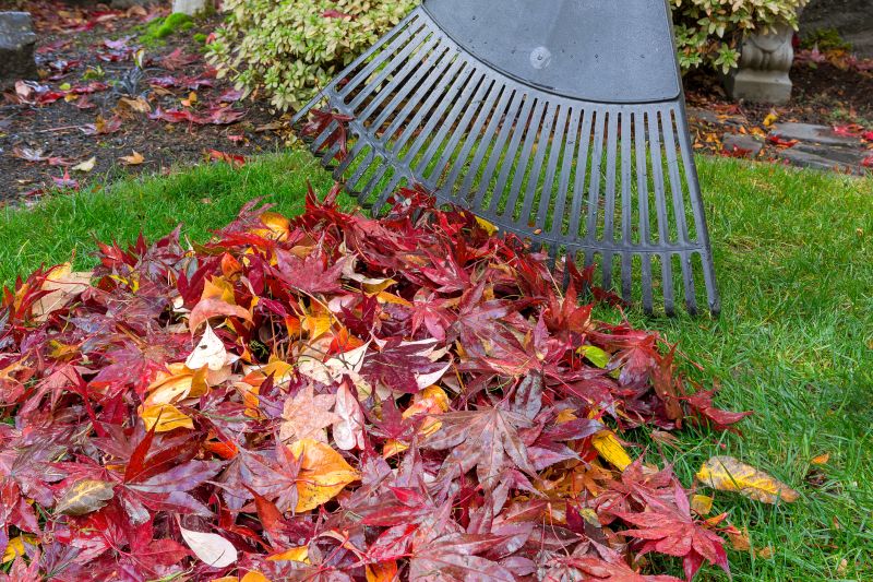 Autumn Lawn Care Tools