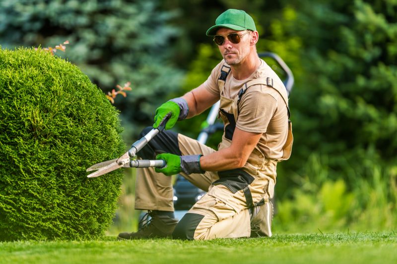 Products For Bush Trimmings in use