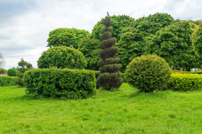 Neatly Shaped Shrubs