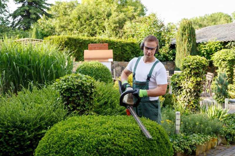 Experienced Landscapers