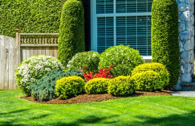 Improve Curb Appeal
